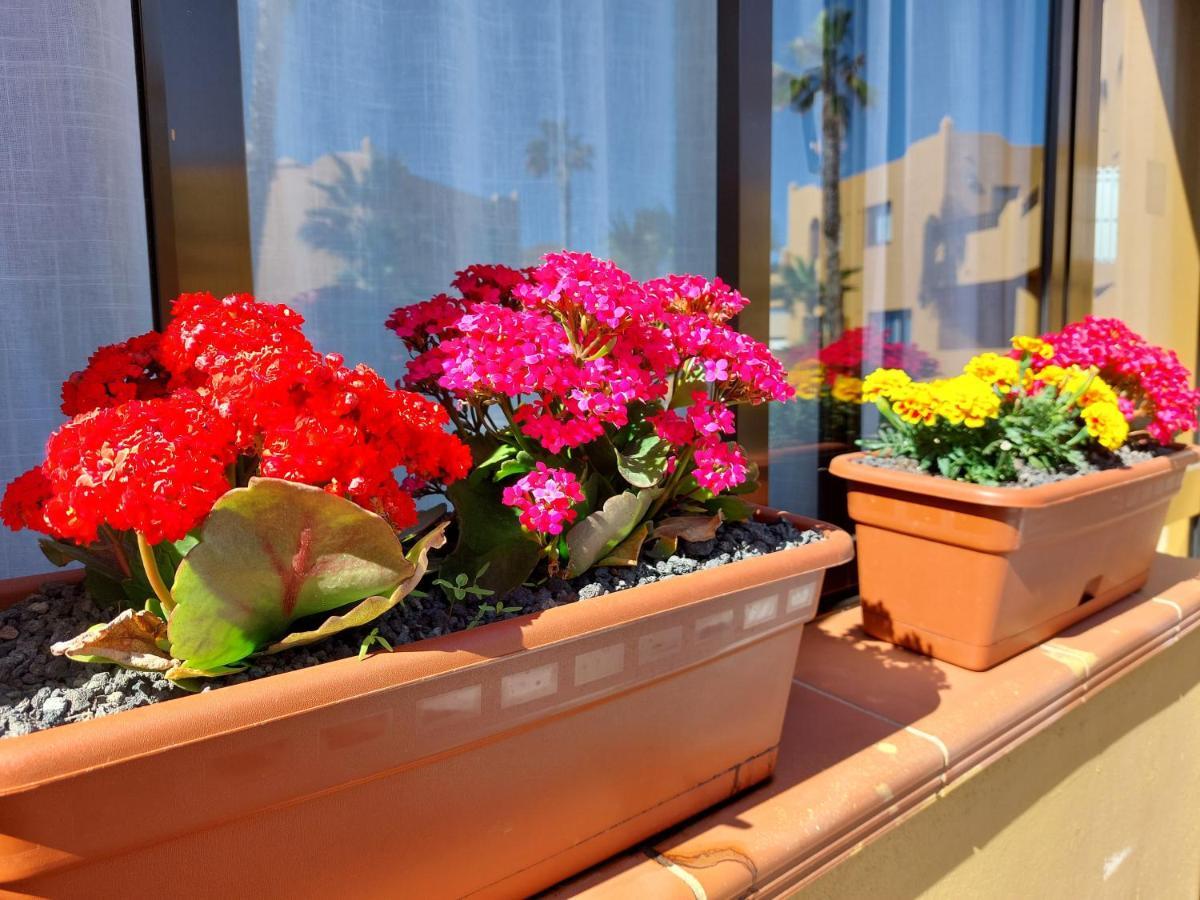 Casa Ledu - Sunny Holiday In Fuerteventura Κοραλέχο Εξωτερικό φωτογραφία